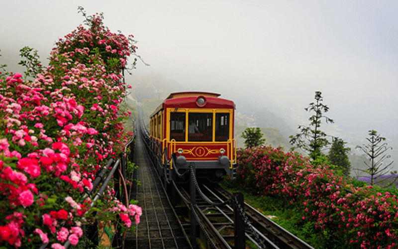 Sapa Rose Valley - Top 11 beautiful places in Sapa that you should not miss