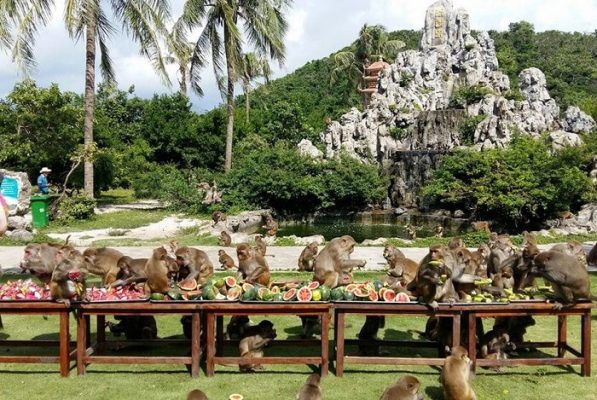 Monkey Island (Hon Lao)