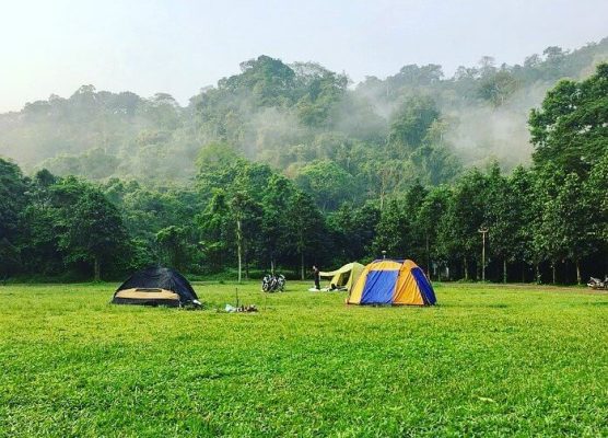 Camp in Cuc Phuong forest