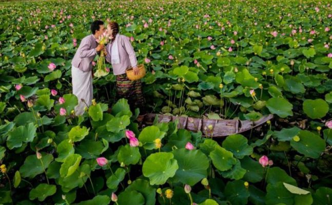 Canoeing to pick lotuses