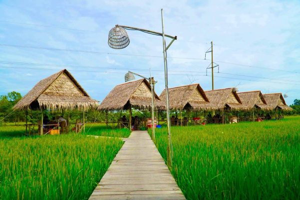 My Phuoc Thanh Eco-tourism Area