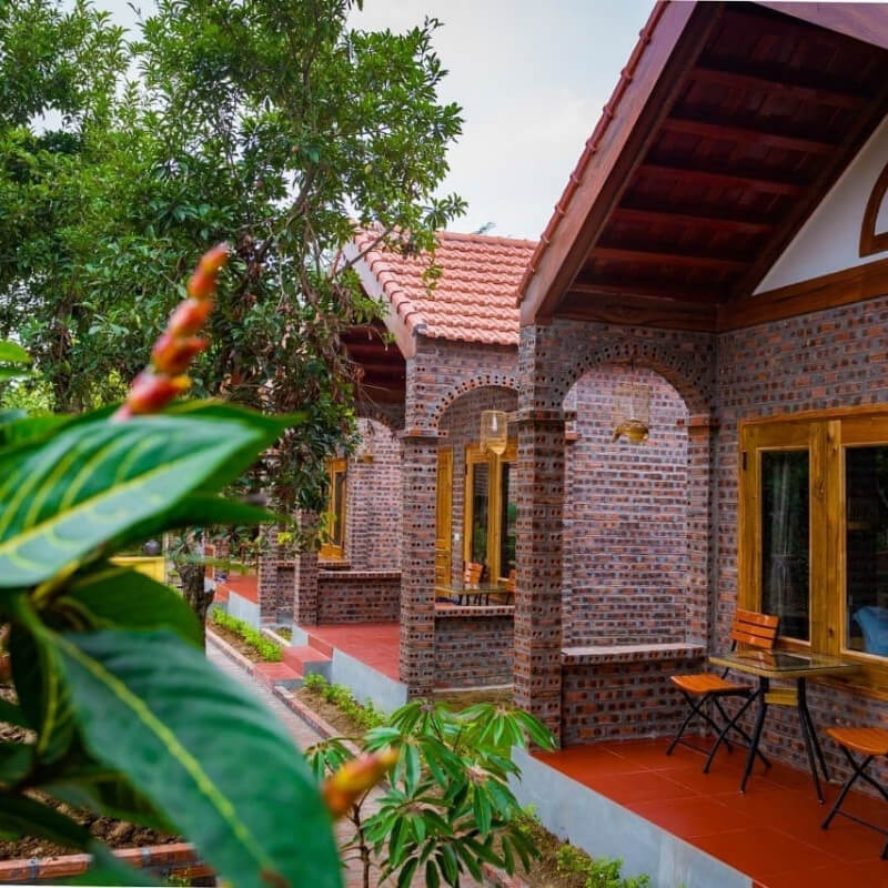 Nguyen Family Homestay - Top 10 Homestays in Ninh Binh