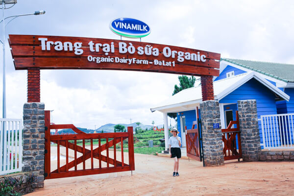 Vinamilk Organic Farm Dalat - Top 9 most beautiful and famous farms in Da Lat