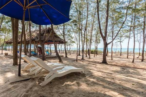 Zenna Pool Camp - Ecotourism Areas in Vung Tau