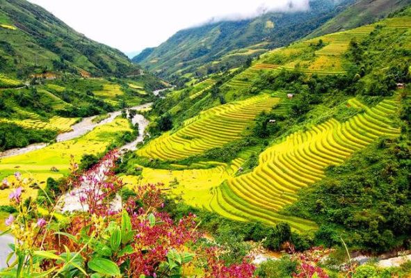 See the terraced fields
