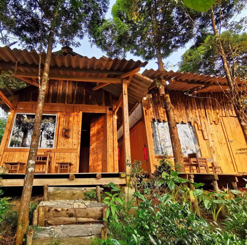 Sapa Jungle Homestay - Top 10 most beautiful Homestay Addresses in Sapa