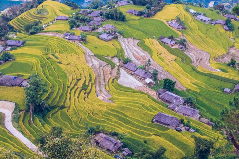 Terraced fields in Ha Giang - Top 7 Experiences for backpacking in Ha Giang and things to prepare