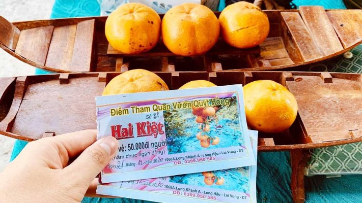 Hai Kiet Tangerine Garden - Top 5 the most beautiful Lai Vung Tangerines
